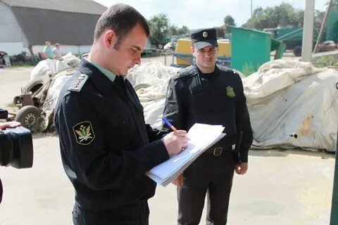 Приставы курчатов телефон