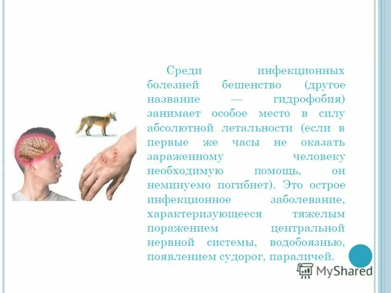 характеристика болезней животных. характеристика болезней животных. вирус ящура крупного рогатого скота. инфекционные заболевания животных. зооантропонозы это болезни.