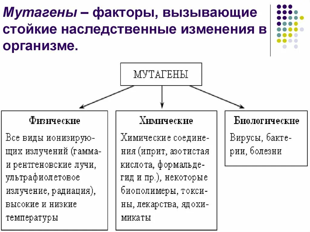 Основными мутагенами являются