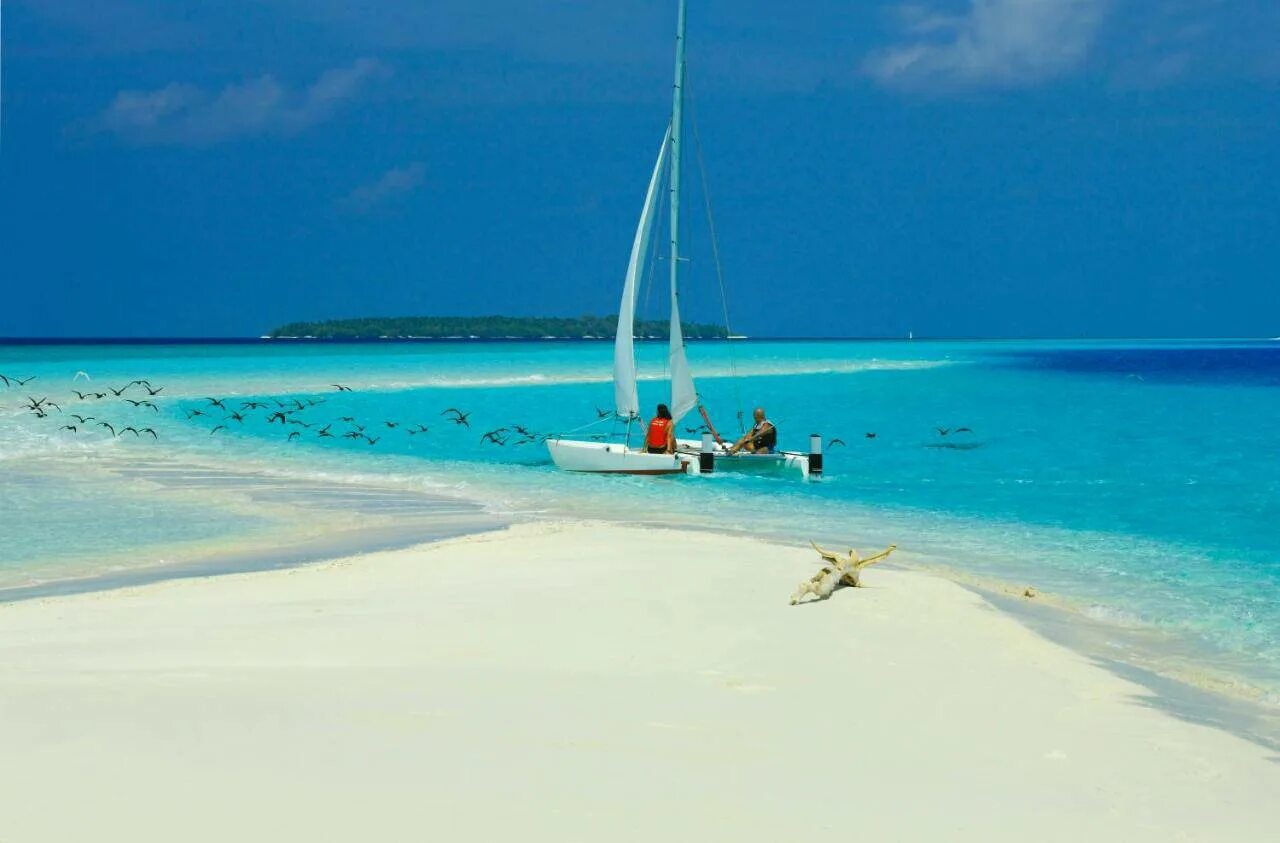 Баа Атолл Мальдивы. Остров Фонимагуду Мальдивы. Ризи Бич Мальдивы. Reethi Beach Resort Baa Atoll Maldives. Local island