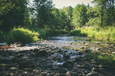 Речка ленинградская область