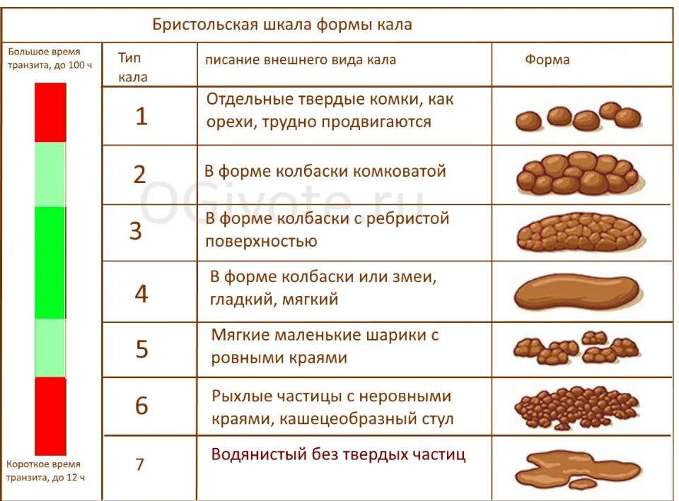 Изменился цвет кала. Бристольская шкала формы кала. Бристьльная школа формы кала. Бристольская шкала формы кала таблица. Бристольская шкала кала расшифровка.