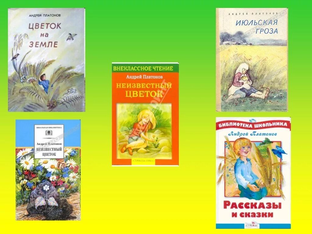 Рассказ цветок на земле какой цветок. П.П.Платонов «цветок на земле».. А П Платонов цветок на земле.