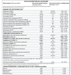 Лейкоцитов 25 в анализе мочи