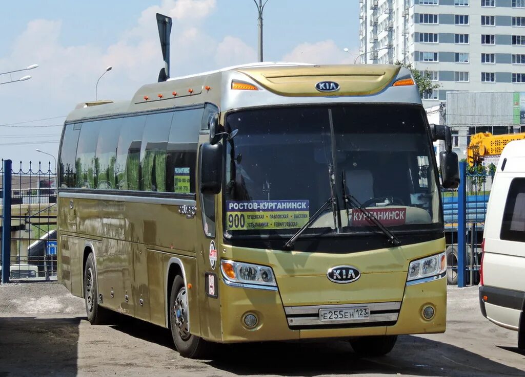 Краснодар Курганинск автобус. Киа Грандберд перевозчик Беркут. Kia Granbird автобус Майкоп Анапа. Автобус ростов курганинск