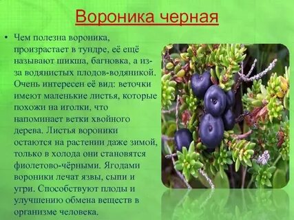 Произрастает значение