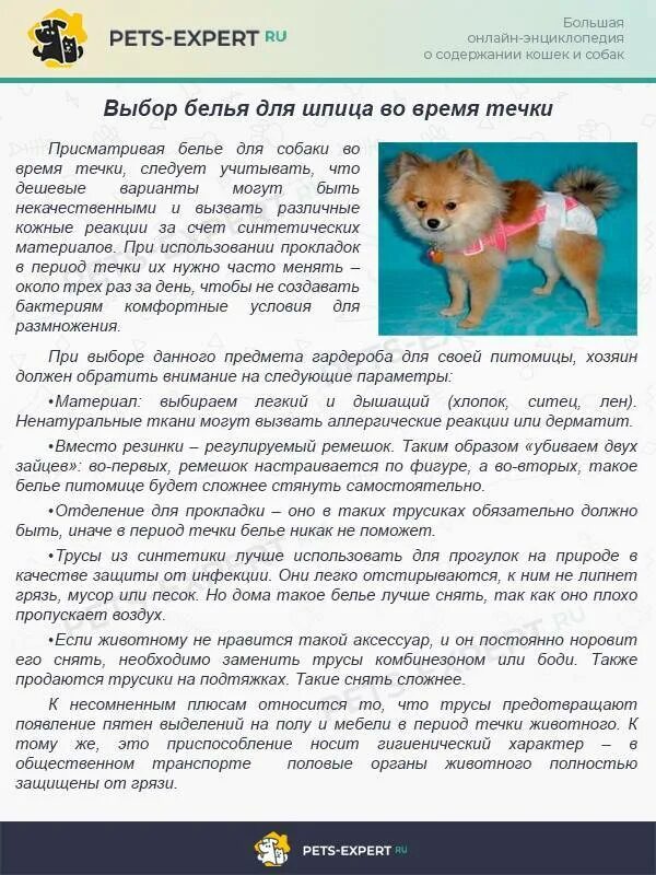 Сколько давать сухой корм шпицу. Сколько корма давать щенку шпица. чем кормить кормящую собаку шпица. что нужно давать шпицу. сколько раз кормить щенка шпица.