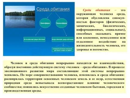 Чем условия отличаются от среды