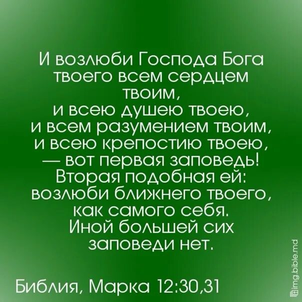 Возлюби Господа Бога. Возлюбите Господа Бога всем сердцем. Заповедь Возлюби Господа Бога. Заповедь Возлюби. Возлюби ближнего своего заповедь