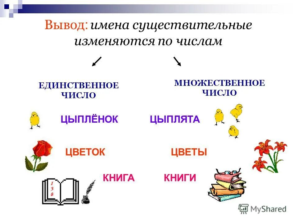 Признак множественного числа. Множественное число имен существительных 2 класс. единственное и множественное число имен существительных 3 класс. имя существительное в единственном числе и множественном числе. существительные множественного числа и единственного числа.