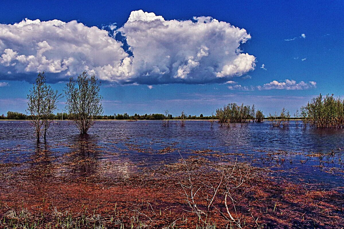 тром аган река. сухой аган. река аган хмао. река поколька. аган.