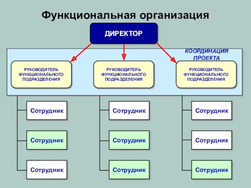 Функциональные отделы организации. Функциональные подразделения организации. Функциональные подразделения организации (предприятия).. Функциональная структура подразделения. Назначение данного подразделения