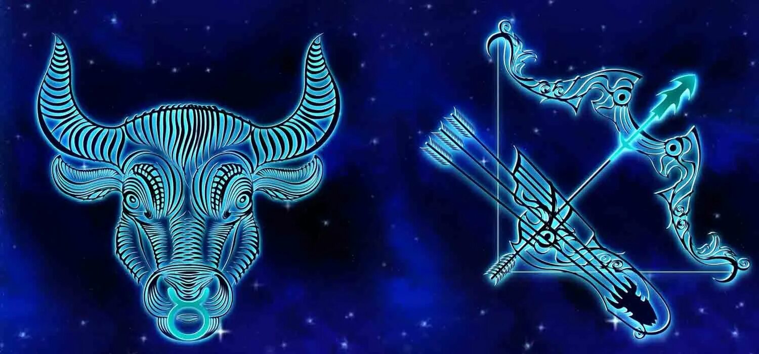 Телец подходит стрелец. Телец. телец и стрелец. телец зодиак.