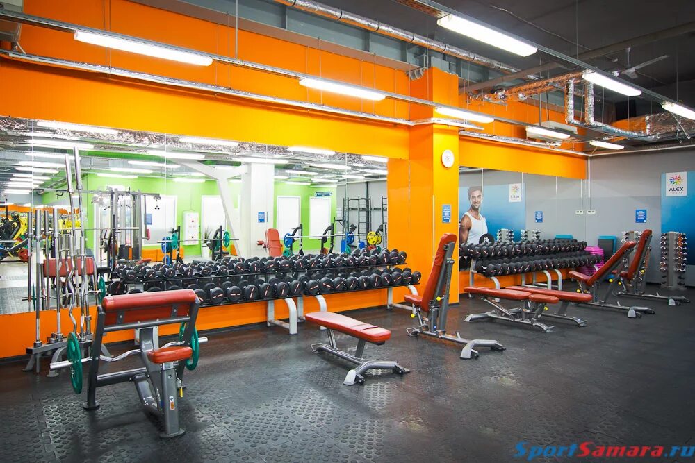 Алекс фитнес сертификат. Алекс фитнес оренбург абонемент. Alex fitness кудрово бассейн. Алекс фитнес оренбург абонемент. Алекс фитнес оренбург абонемент.