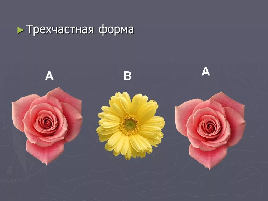 Трехчастная форма в музыке 3 класс. Трехчастная форма. простая трехчастная форма. трехчастная форма в музыке. трехчастная музыкальная форма схема.