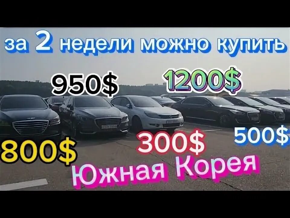 Корейский авторынок в корее. Авторынок в грузии автопапа.