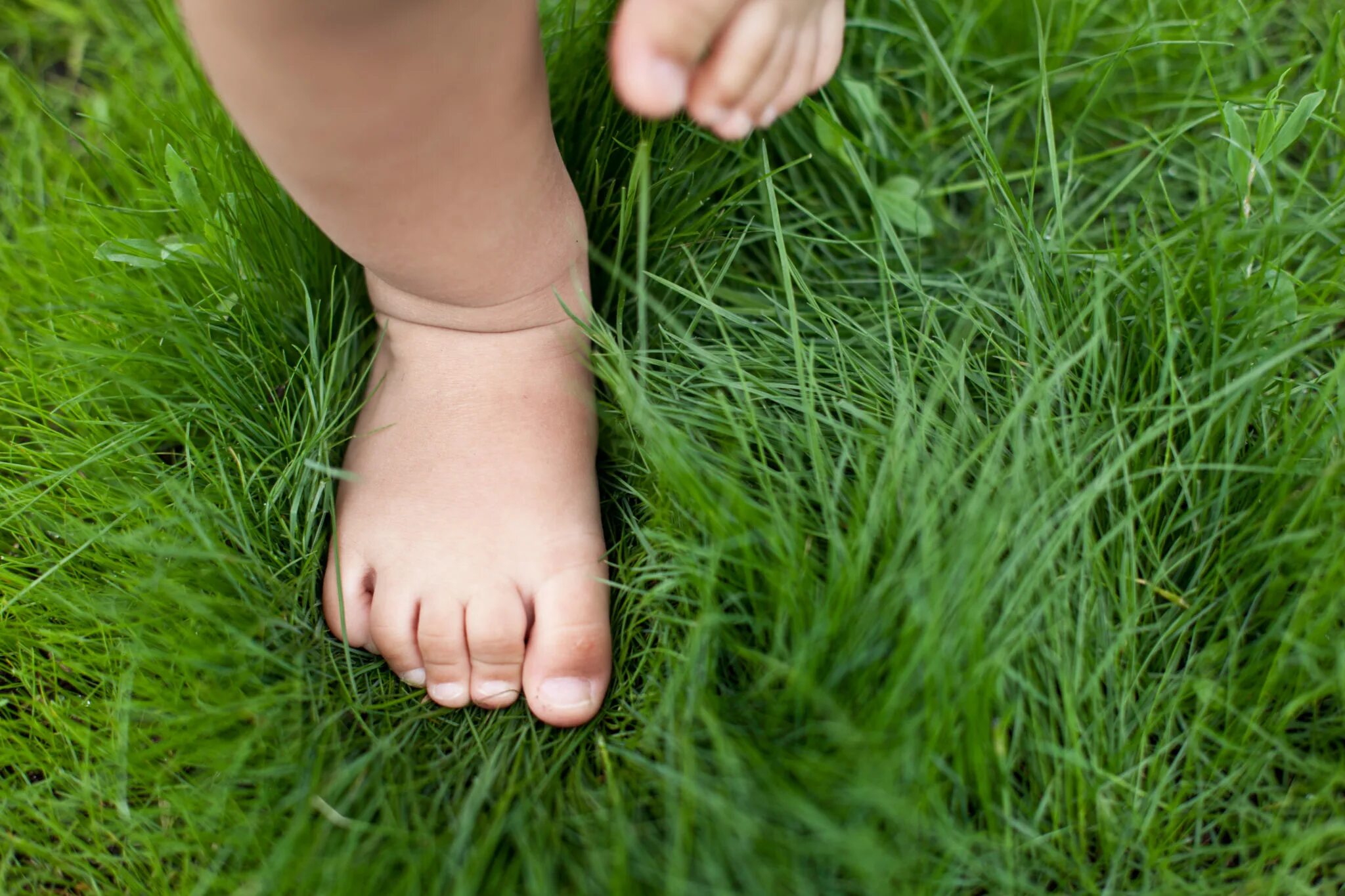 По дорожке весело ножки. Ноги на траве. Босыми ногами по траве. Ступни на траве. Ходить босиком по траве.