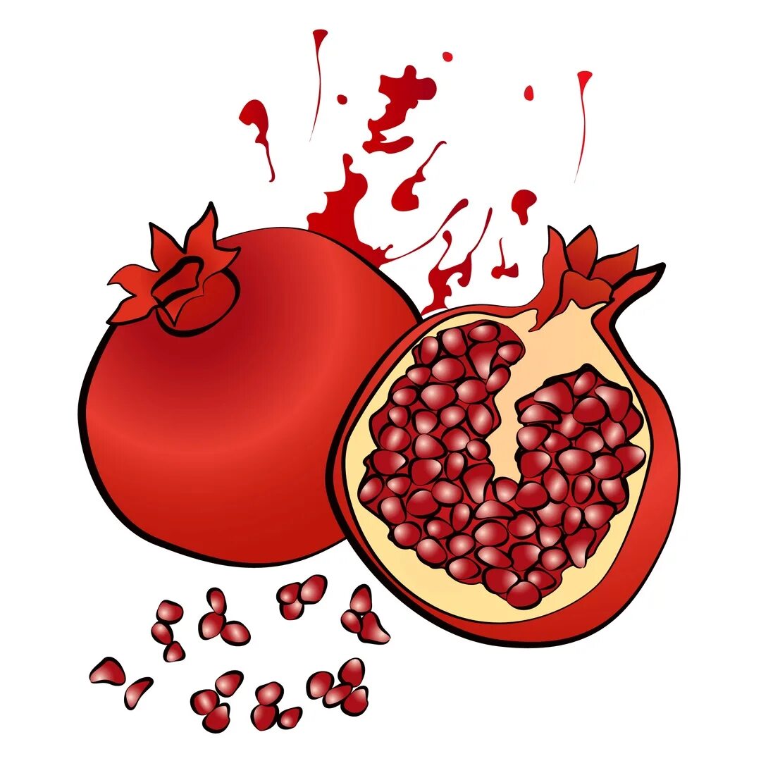 Гранат полезные вещества. Витамины в гранате. Витамины в гранате. Стилизация граната в разрезе. Стилизация фруктов и овощей.