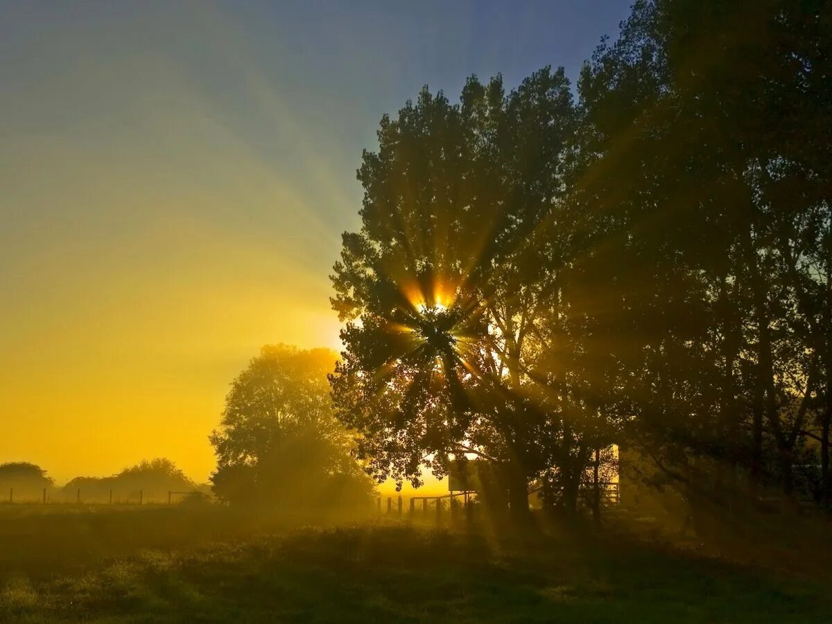 Стояло раннее утро солнце освещало. Рассвет солнца. Природа солнце. На Восходе солнца. Утреннее солнце.