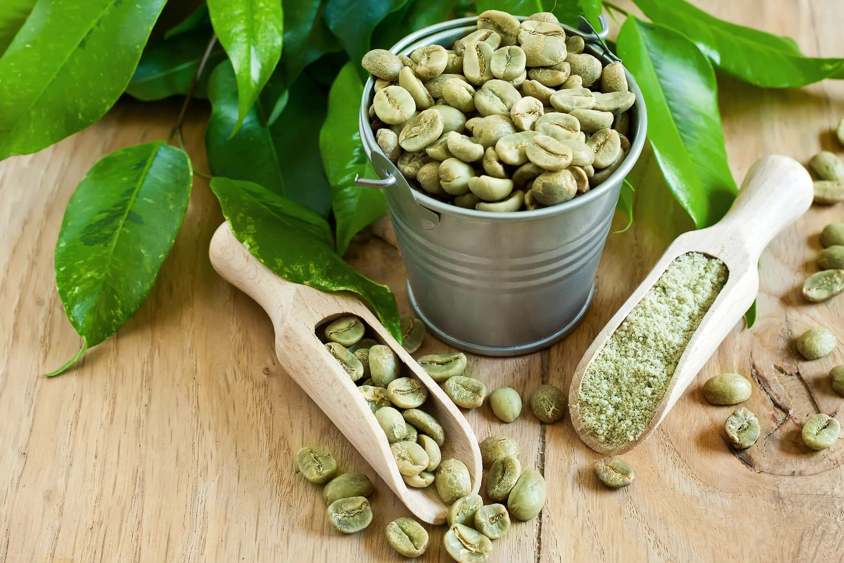 День зеленого кофе. Зеленый кофе. Зеленый кофе в зернах. Экстракт зелёного кофе. Кофе зеленый зерновой.