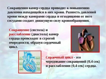 Сила сердечных сокращений