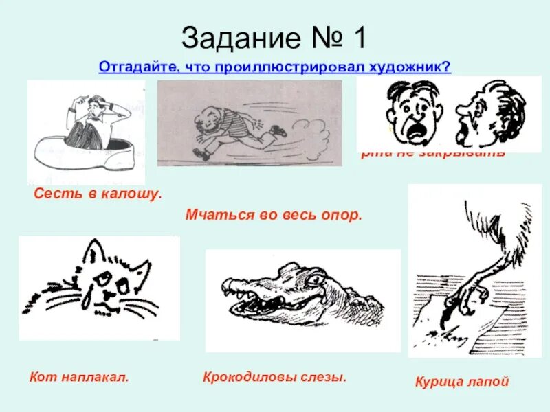 Объясните значение кот наплакал
