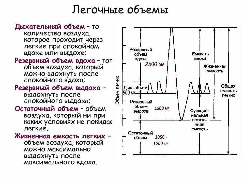 Функциональное деление емкости легких. Дыхательные объемы и емкости легких. Дыхательные объемы легких таблица. Схема дыхательные объемы и емкости. Схема дыхательного объема легких.