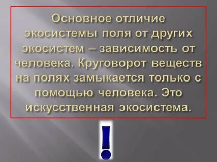Круговорот веществ искусственной экосистемы