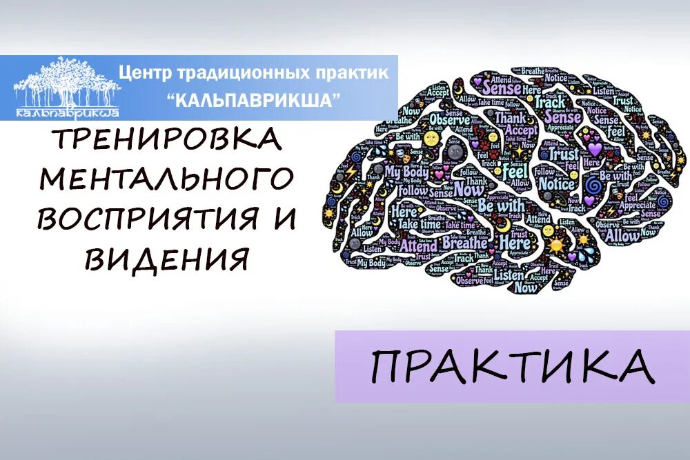 Ментальное восприятие. Ментальные упражнения. Ментальный тренинг. Ментальная подготовка. Ментальные блоки.