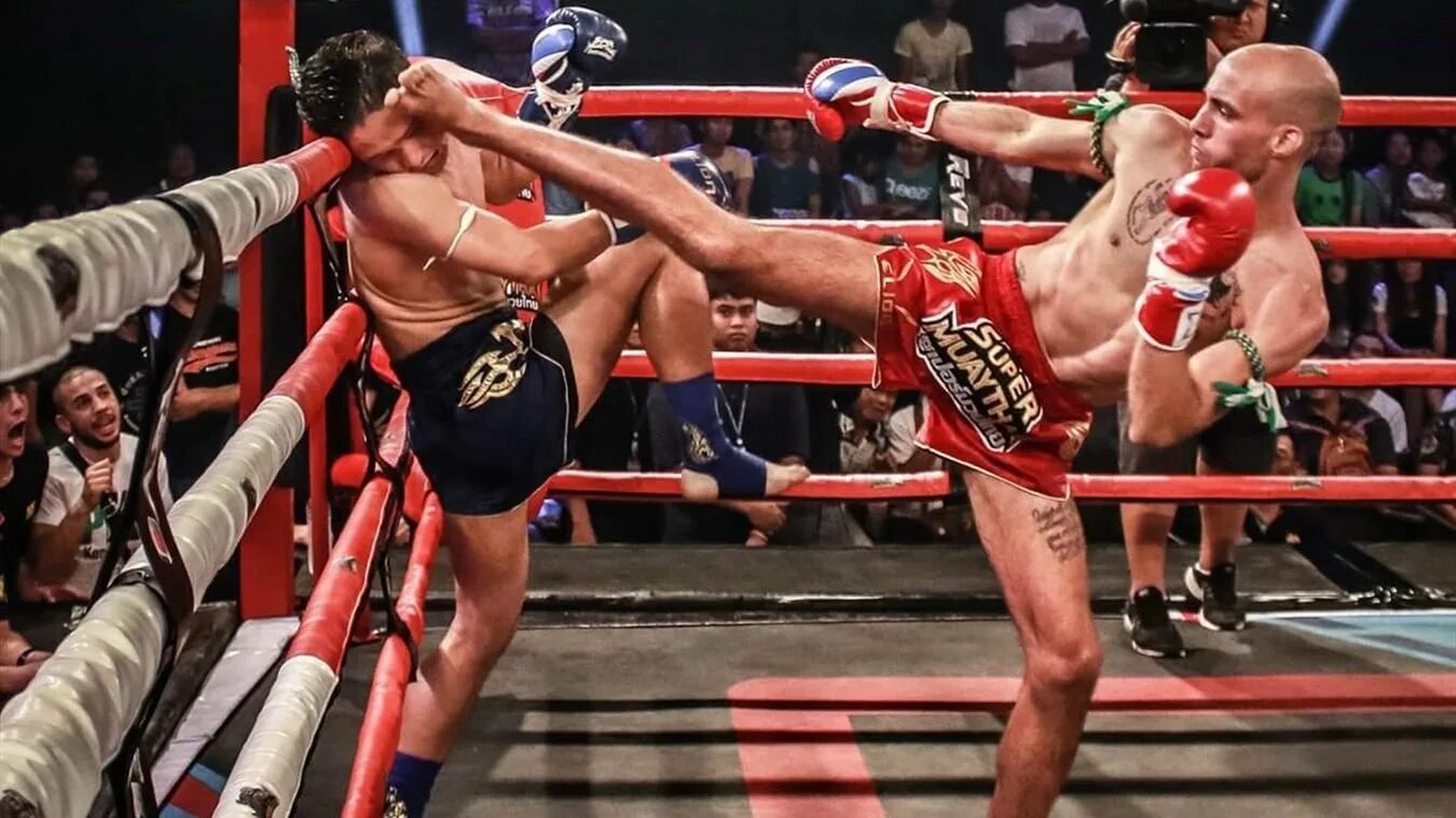 Сильный удар ногой. Тайский бокс ММА. Рассечение в тайском боксе. Кикбоксинг нокаут.