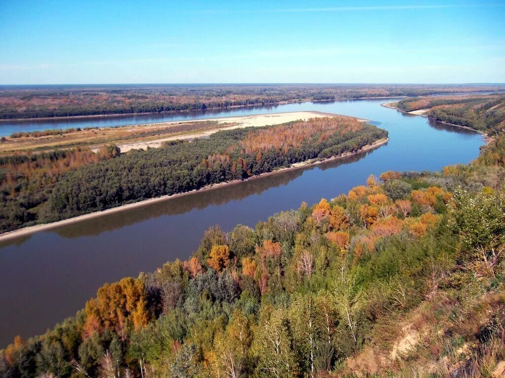 Обь село. Елунино. Елунино Обь. Село Елунино Павловский район. Елунино Павловский район река.