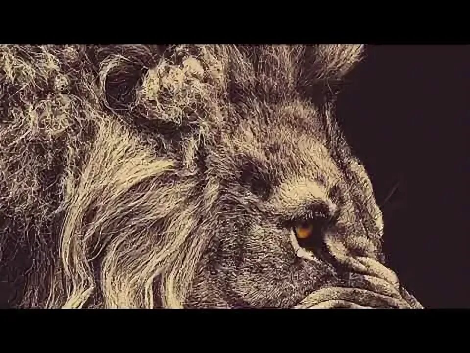Laurentiu. Номер телефона аслана. Аслан рисунок. Причёска аслана шукаша. Аслан надпись красивая.