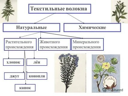 Происхождение текстильных волокон