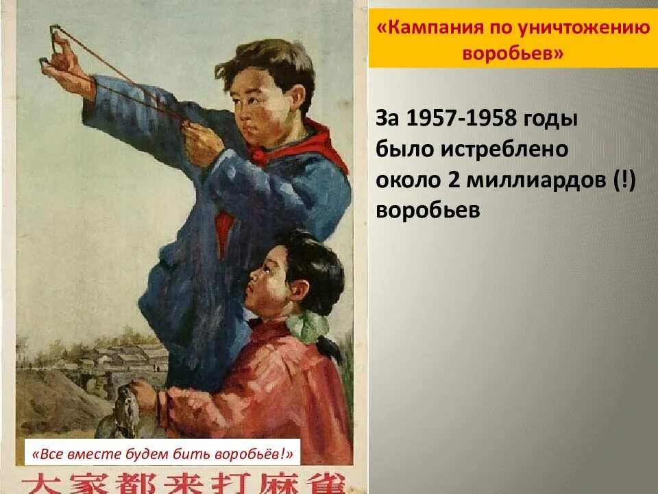 Китай истребление воробьев 1958. Китай мао истребление воробьев. Китай истребление воробьев 1958. Китай истребление воробьев 1958. Китай истребление воробьев 1958.
