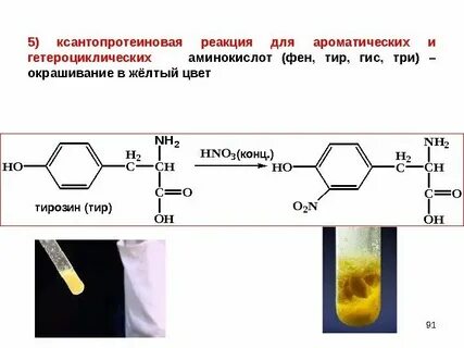 Яичный белок азотная кислота