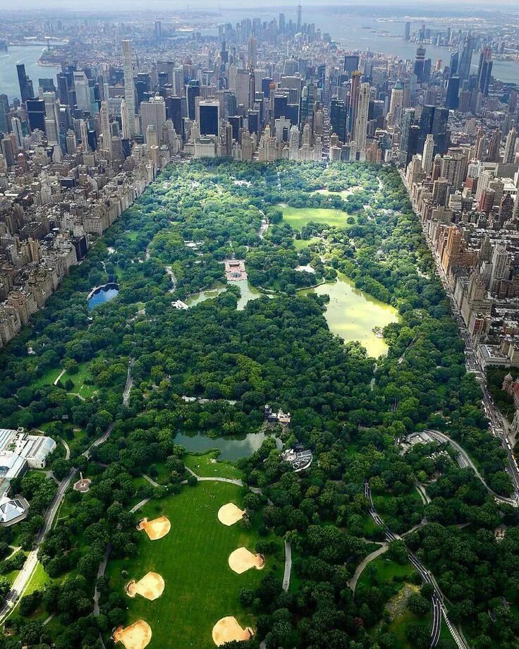 Central park me. Национальный централ парк нью йорк. Центральный парк нью-йорк осенью. Центральный парк нью-йорк. Central park me.