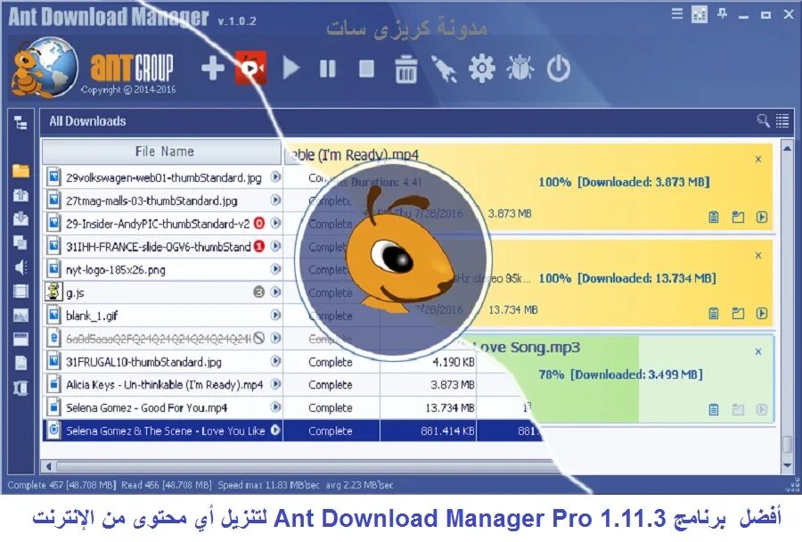 Ant download Manager. Ant download Manager logo. Ant download Manager Pro. Ant download.