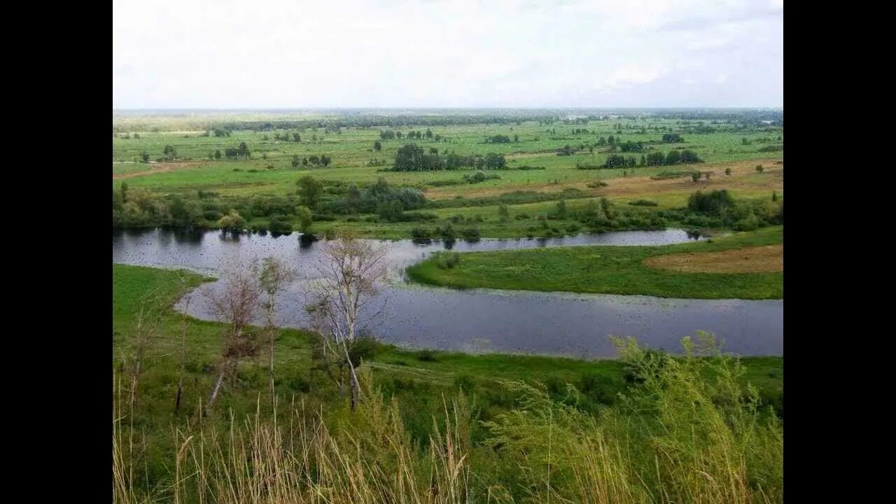 Топчихинский район Алтайский край. Володарка Топчихинский район Алтайский край. Село Парфеново Топчихинский район Алтайский край. Село Сидоровка Алтайский край Топчихинский район.