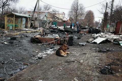 Про бучу