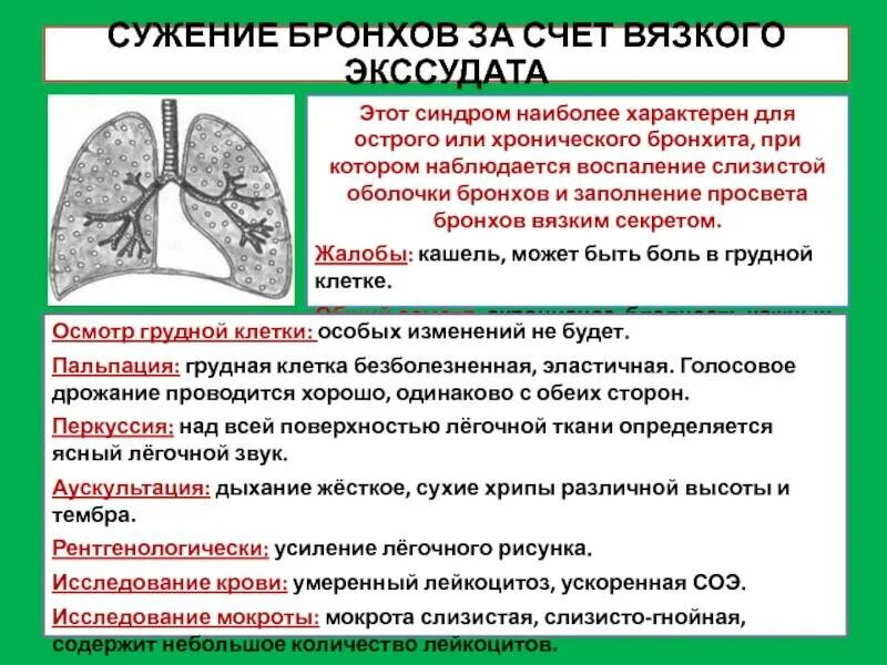 Боль в легких при кашле с мокротой. Сужение просвета бронхов. Суженные просветы бронхов.