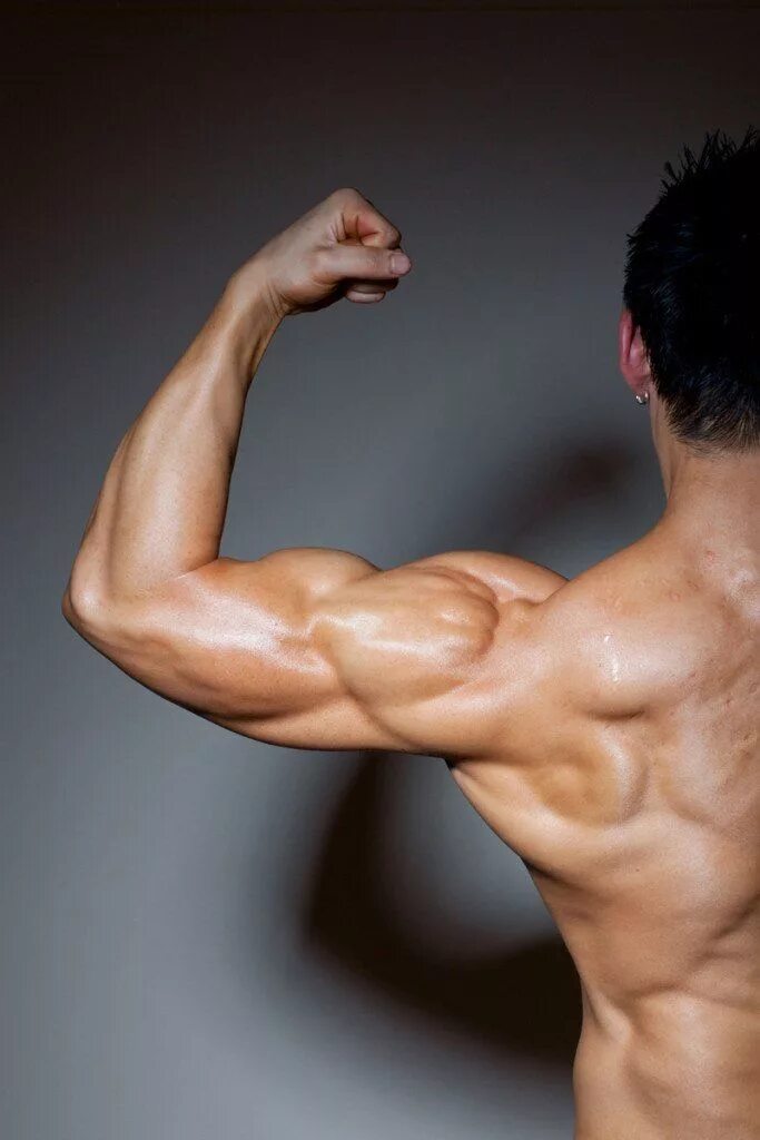 Round shouldered