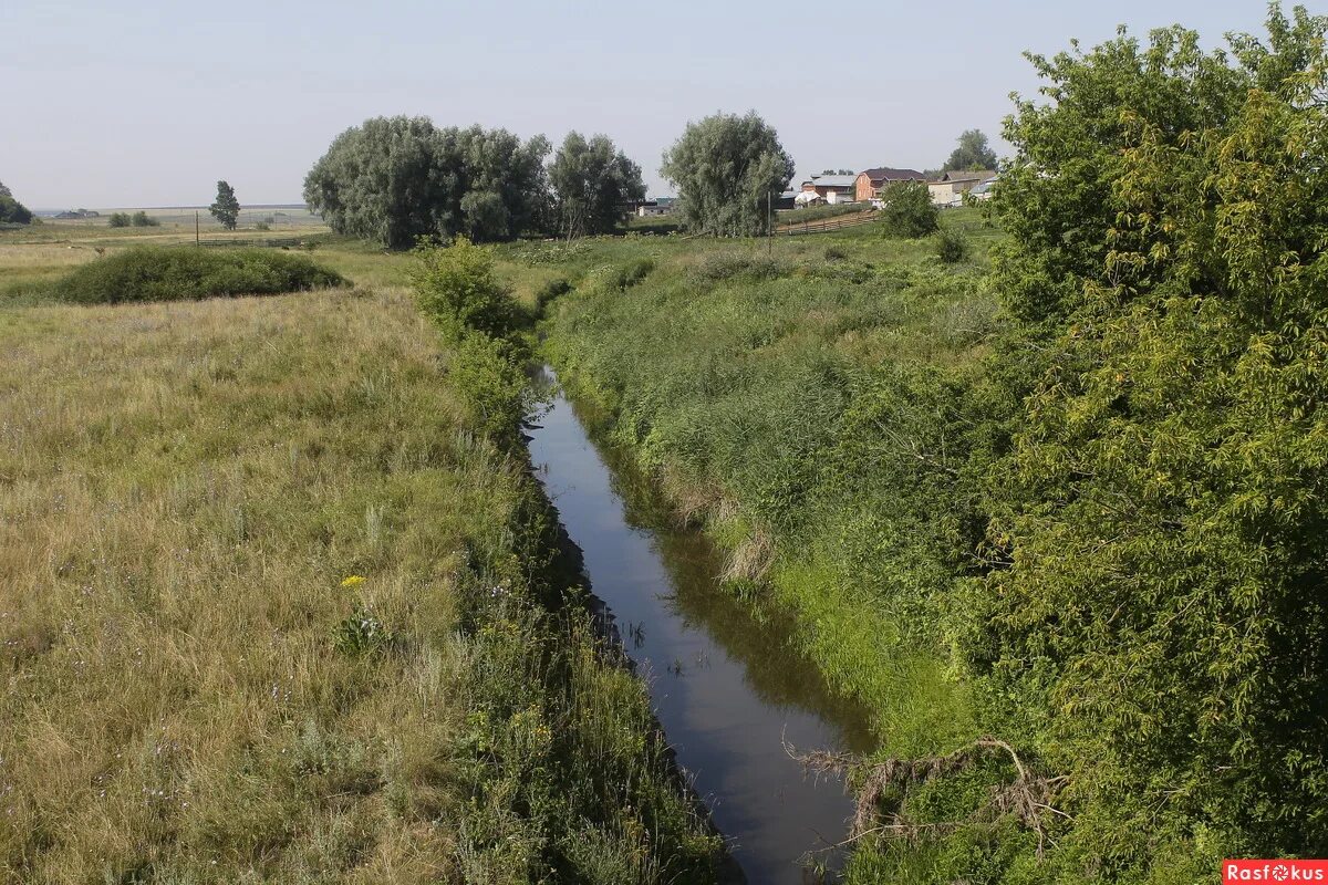 Петряксы Нижегородская обл. Сайт село Петряксы Нижегородская область. Пильнинский район Нижегородская область. Деревня Петряксы.