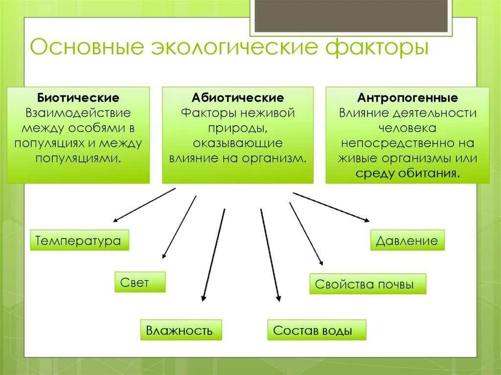 Что характеризует природу как систему. Абиотические факторы среды обитания. экологические факторы. экологический вектор. влияние экологических факторов на природу.