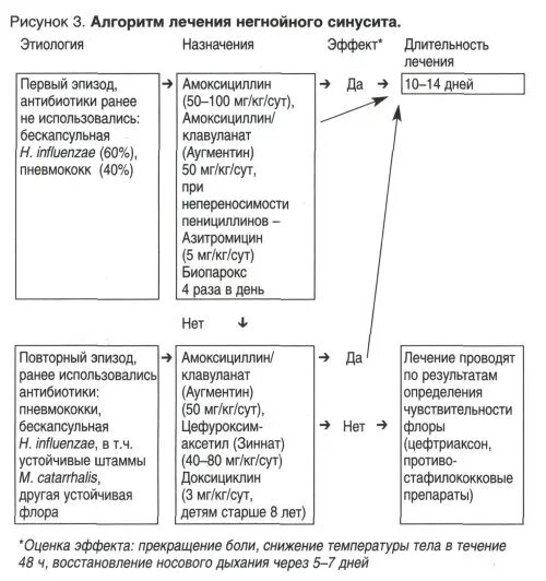 протокол лечения гайморита у взрослых. протокол лечения гайморита у взрослых. синусит схема терапии. классификация хронический синусит клинические рекомендации. антибиотикотерапия при остром гнойном гайморите.