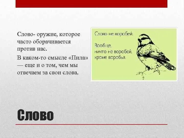 Слова текста пушка. Слово это оружие. Слово как оружие человека. Слово орудие. Слово оружие цитаты.