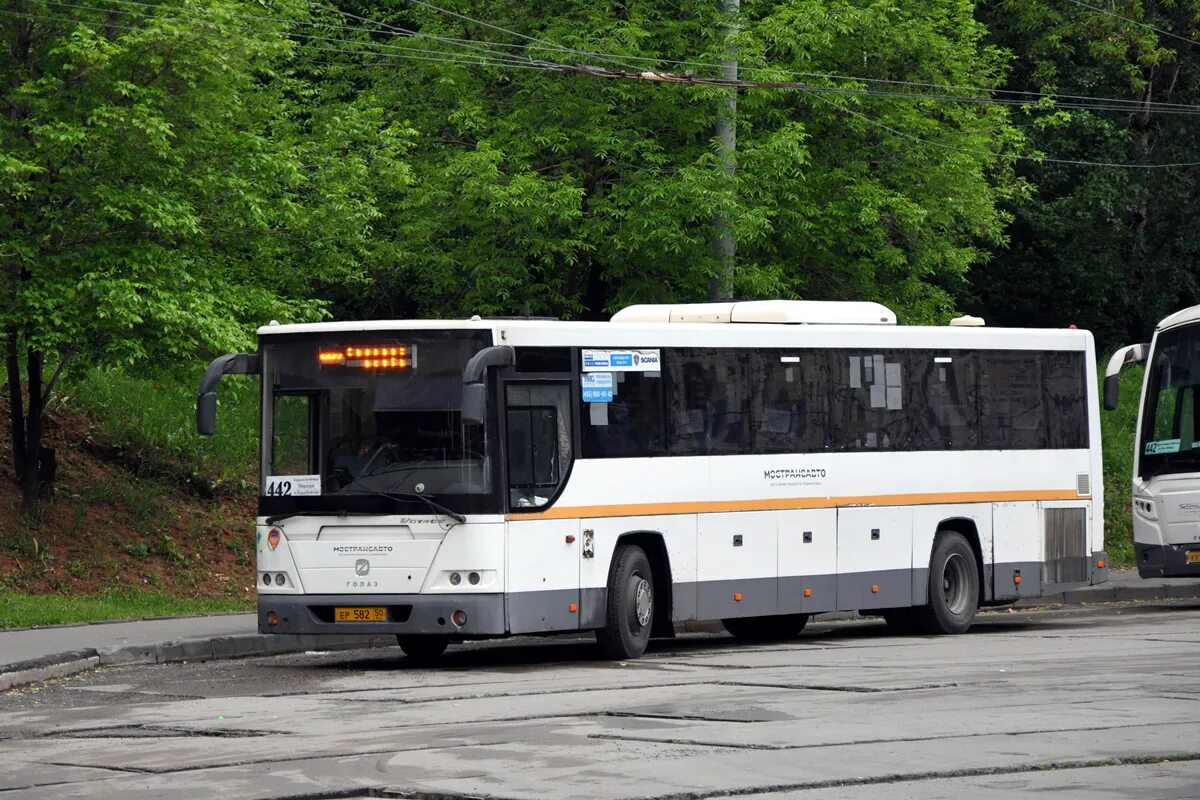 Автобус 442а пермь. ГОЛАЗ-525110 Вояж. ГОЛАЗ 525110. ГОЛАЗ-525110-10 "Вояж". ГОЛАЗ 5221.