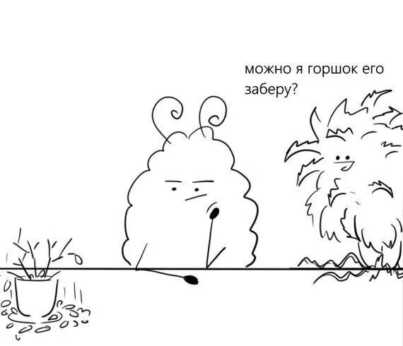 Небо забирай я сдаюсь. Смешные коты с надписями. Можно я его заберу. Алоэ смешные картинки. Можно я его заберу.