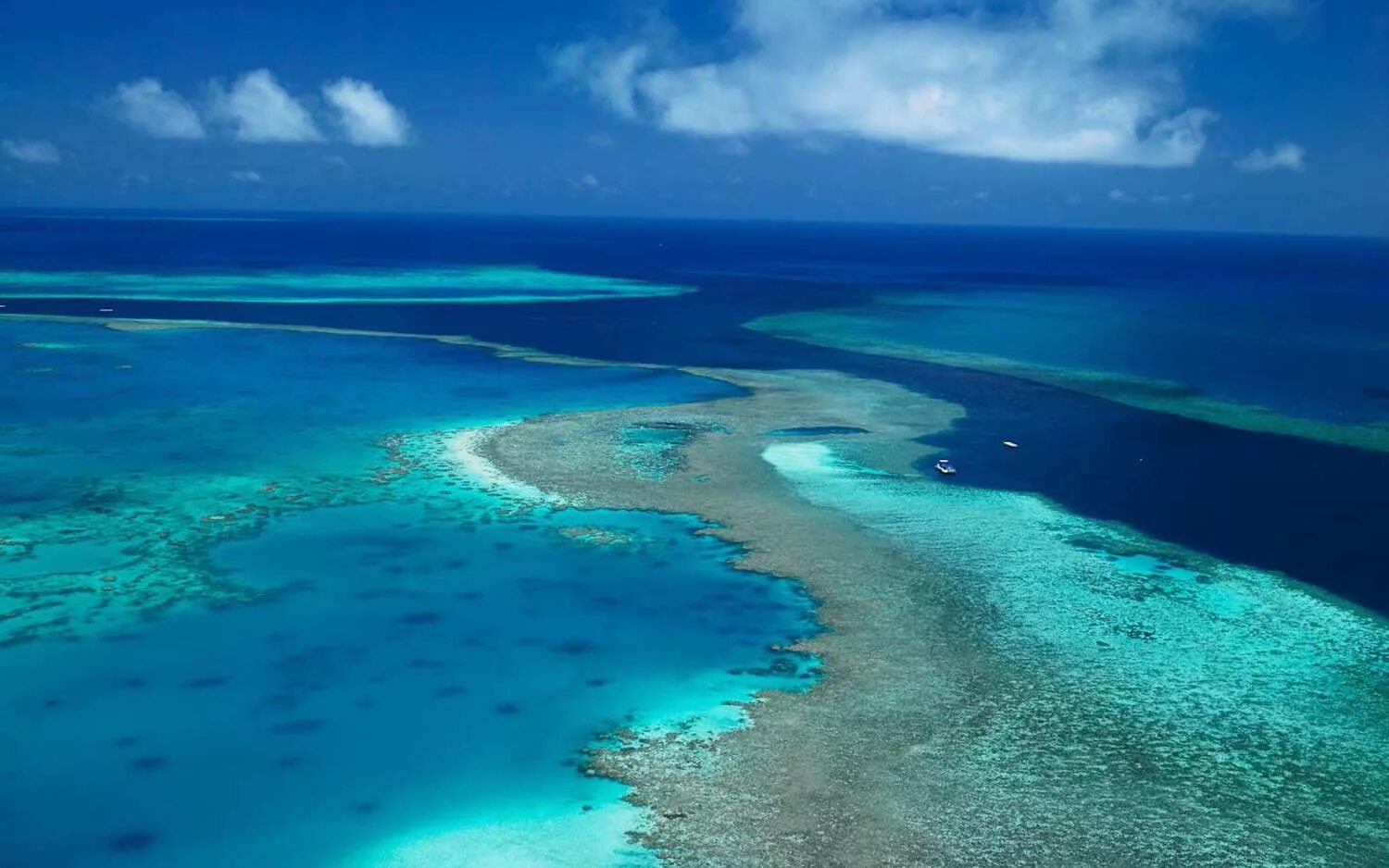 Great coral reef. Барьерный риф в Австралии. Большой коралловый риф в Австралии. Коралловое море Барьерный риф. Большой Барьерный риф (ББР), Австралия.