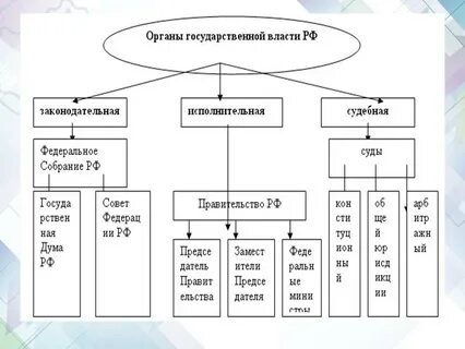 Заполните пропуски в схеме высшие органы государственной