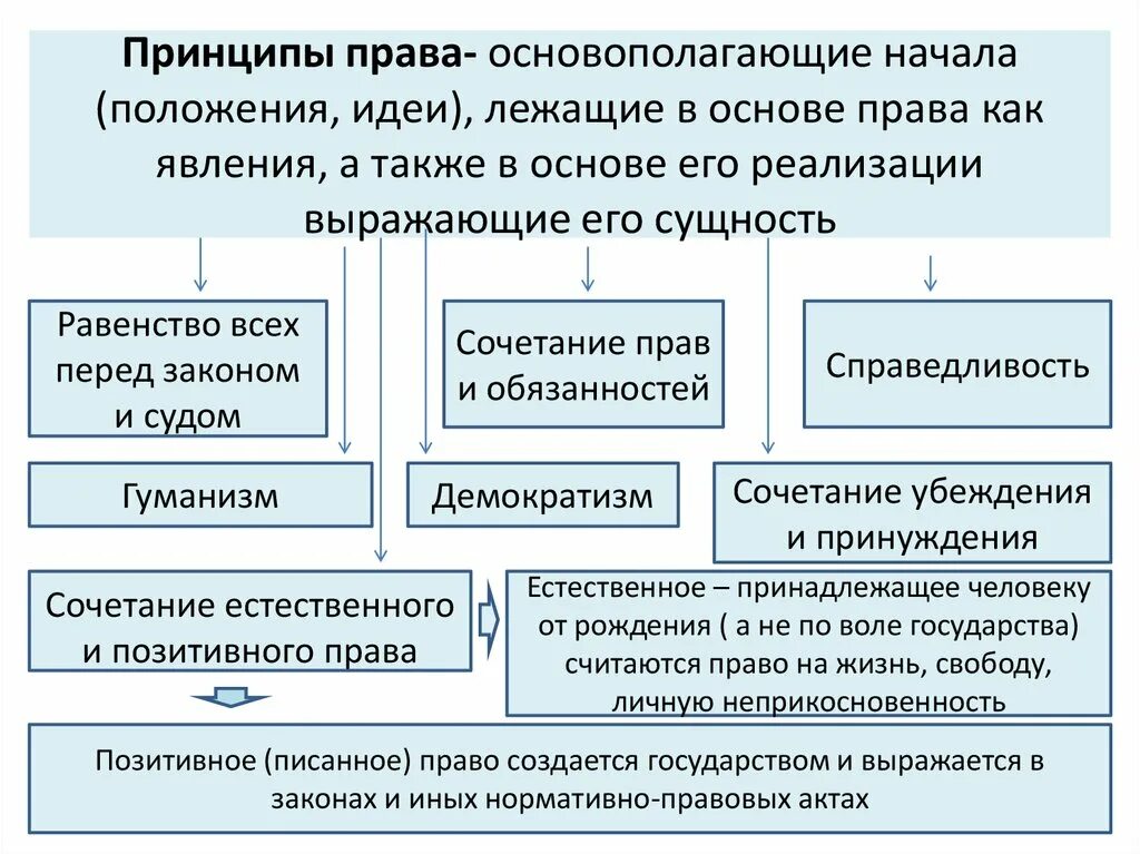 Принципы законодательства. Правила выработанные и принятые группой